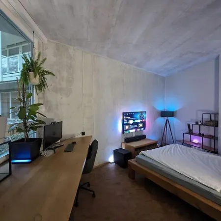 Apartment Modernes Studio Im Zentrum Von Zurich