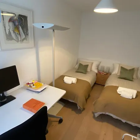 Apartment H1 With 4,5 Room, Bathroom, Kitchen, Central, Quiet & Modern With Office Zurich