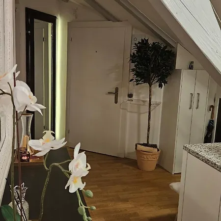 Executive In Pedestrian Area Apartment