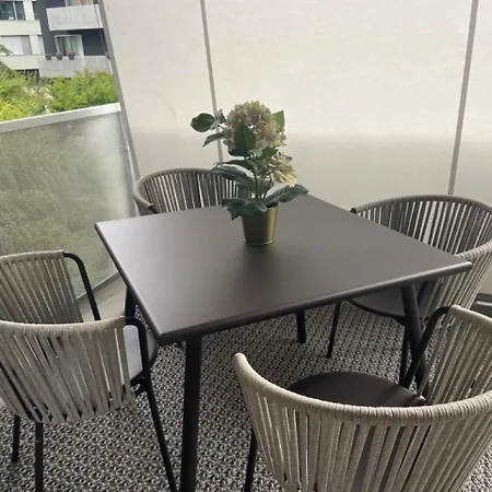 Luxury 250sqm With Ac & Parking Zurich