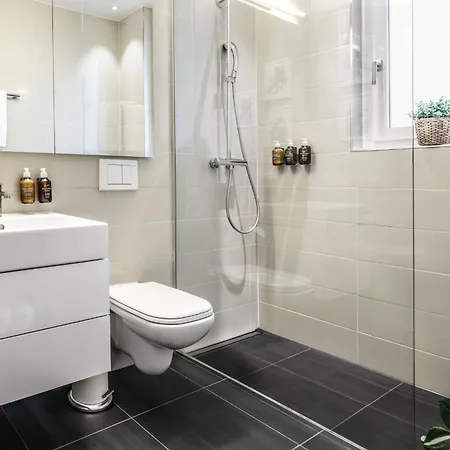 Apartment Location Ac Free Parking Swissexperience