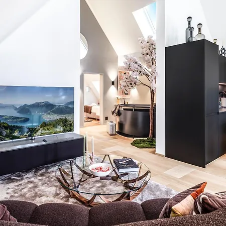 Bahnhofstrasse Designer Penthouse Private Rooftop Apartment