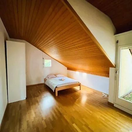 Zurich Center Flats With Balcony - Rigid *