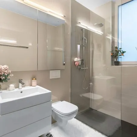 Apartment Ac Private Terrace Freeparking Zurich