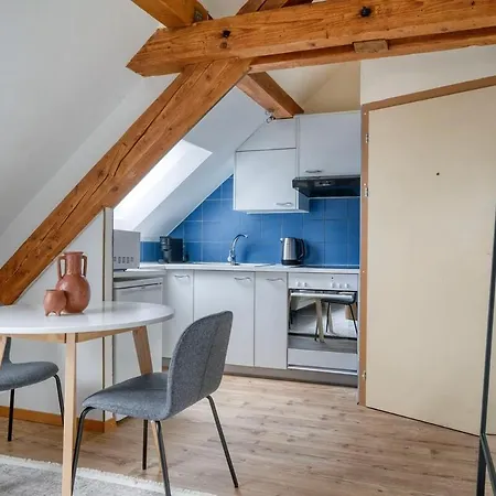 Apartment Eagle Charmante Dachgeschosswohnung Mit Design & Ausblick Zurich