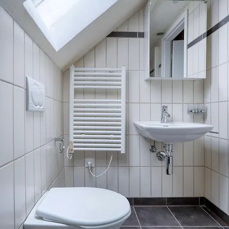 Eagle Charmante Dachgeschosswohnung Mit Design & Ausblick Apartment Zurich