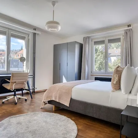 Apartment Amber - Wipkingen *