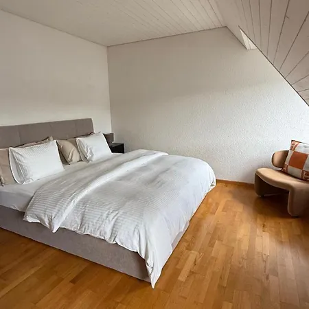 Maison Zueri Apartment Zurich