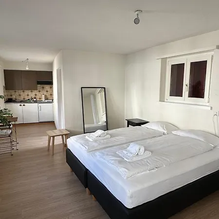 Apartment Comfortable In Great Location Zurich