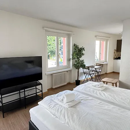 Apartment Comfortable In Great Location Zurich