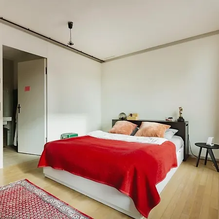 Art Loft Downtown Apartment