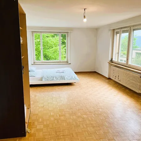 Apartment Center Flats With Balcony & Garden View Rigi - Self Checkin Zurich
