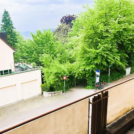 Apartment Center Flats With Balcony & Garden View Rigi - Self Checkin