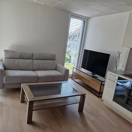 Apartment, 38 Sqm Zurich