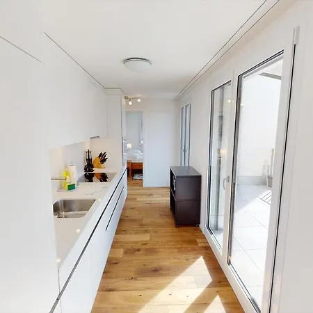 Terrific Penthouse In The Center - Hoesch 6 Apartment *