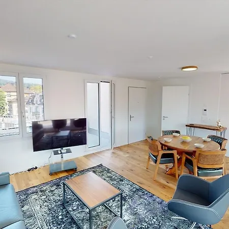 Terrific Penthouse In The Center - Hoesch 6 Apartment Zurich