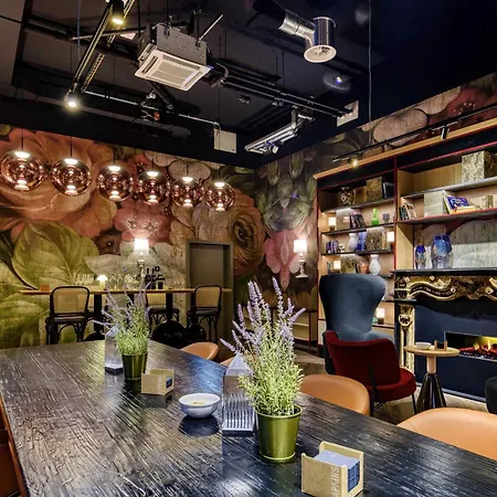 Ibis Styles Center