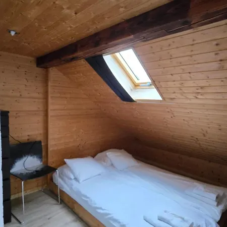 Attic Loft With Rooftop Terrace! Apartment Zürich