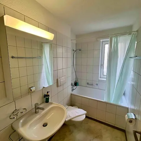 Basic Flat With Balcony In Zurich