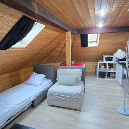 Apartment Attic Loft With Rooftop Terrace! Zürich