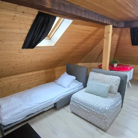 Attic Loft With Rooftop Terrace! * Zürich