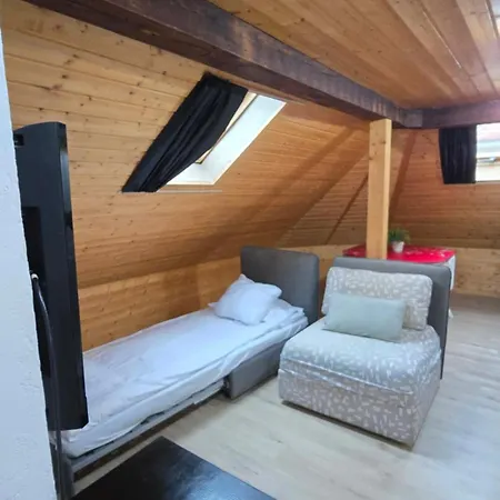 Apartment Attic Loft With Rooftop Terrace! Zürich
