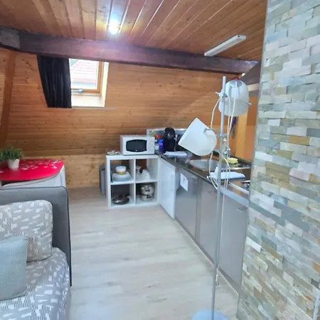 Apartment Attic Loft With Rooftop Terrace! Zürich