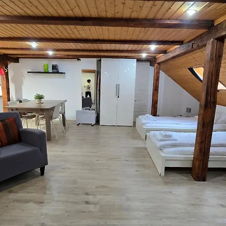 Cozy With Roof Terrace For 3 Apartment *