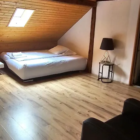 Apartment Cozy With Roof Terrace For 3 Zurich