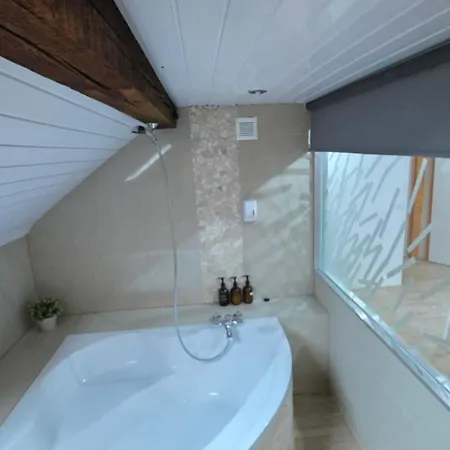 Apartment Attic Loft With Rooftop Terrace! *
