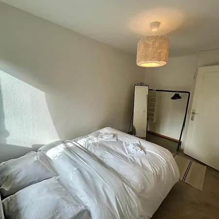 Apartment Basic Flat With Balcony In Zurich