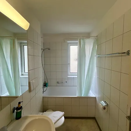Basic Flat With Balcony In Zurich
