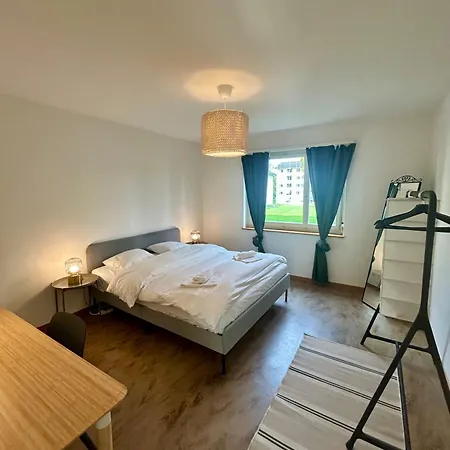 Basic Flat With Balcony In Zurich