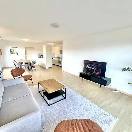 Wa - Penthouse 6 Pax * Zürich