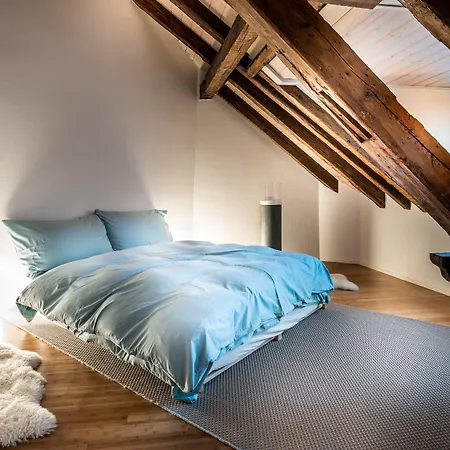 Apartment Le Bijou Lintheschergasse / Hb