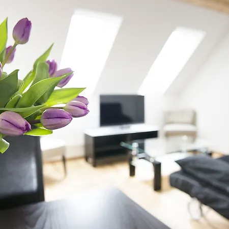 Apartment Swiss Star Longstreet - Self Check-in