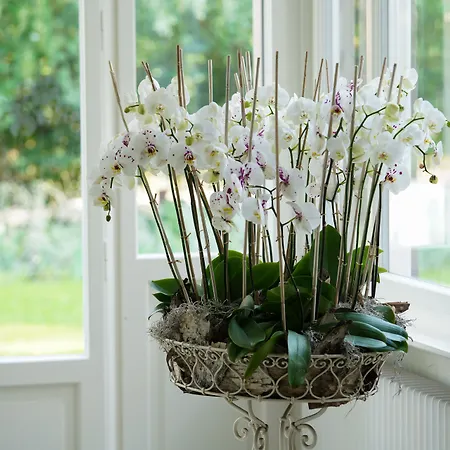 Signau House & Garden Boutique 4* Zurich
