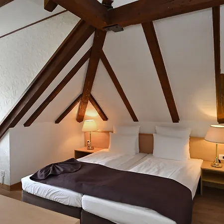 Hotel Olympia Zurich