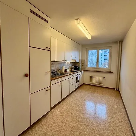 Live In Cozy Apartment Zurich