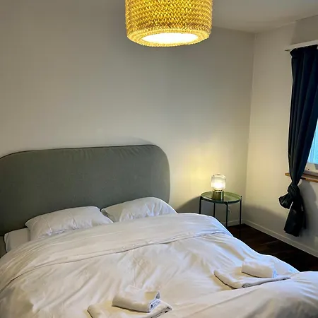 Apartment Simple With Essentials Zurich