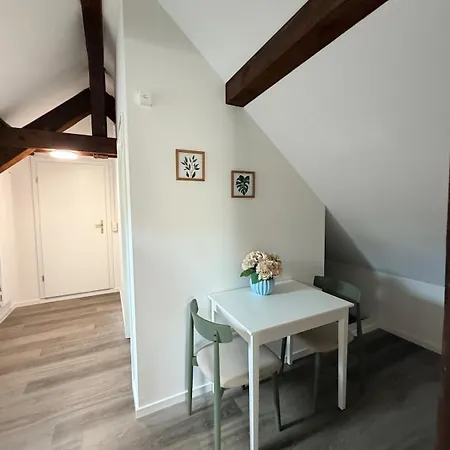 Bird - Wipkingen Apartment *