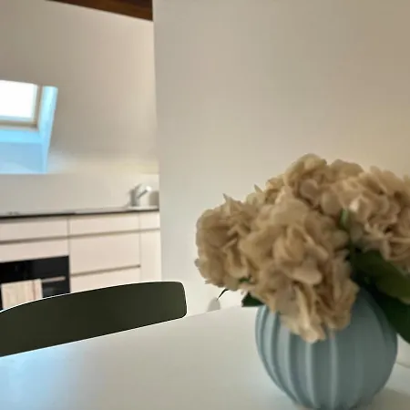 Bird - Wipkingen Apartment