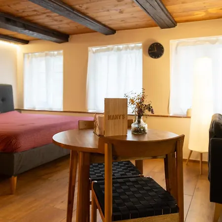 Many's Historical Aparthotel Zurich