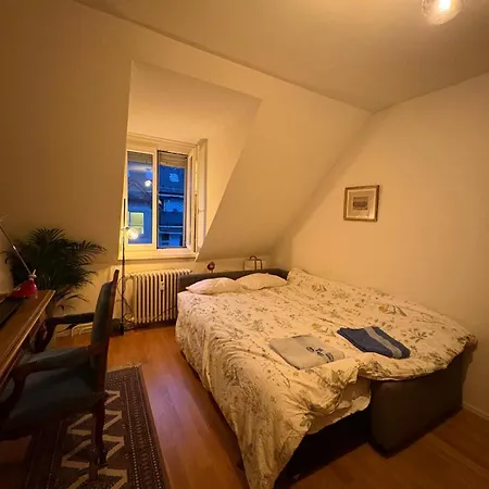 Cosy In Attic Flat In The Center Of Privatunterkunft