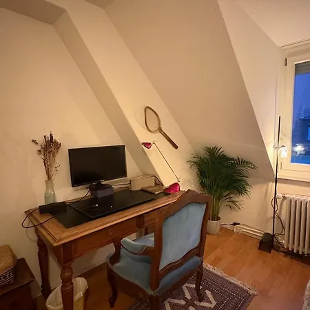 Cosy In Attic Flat In The Center Of * Zürich