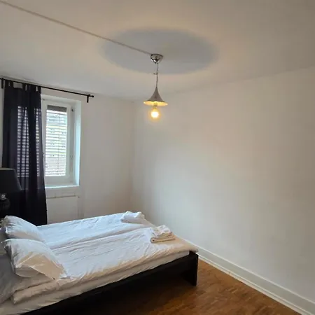 Cozy 2-bedroom In Vibrant Zurich