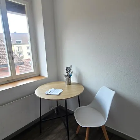 Apartment Cozy 2-bedroom In Vibrant Zurich