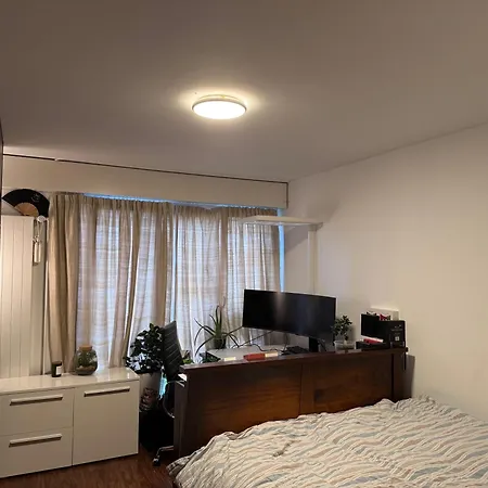 Zuerich Appartement Apartment *