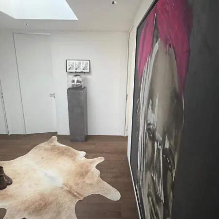 Apartment Penthouse Mit Whirlpool & Riesenterrasse Zurich