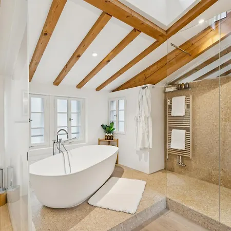 Old Town Diamond Penthouse Ac Private Rooftop Apartment Zurich